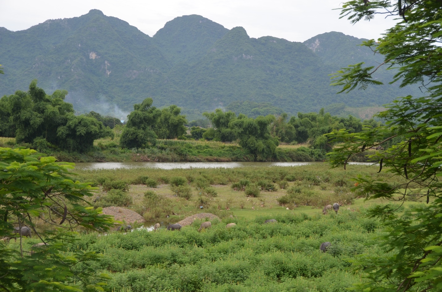 dau tu bat dong san mua dich de sinh loi