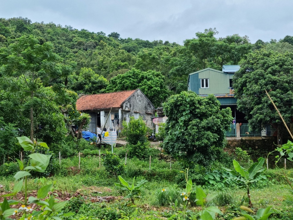 quang ninh boi thuong nha dan bi hu hai do no min pha da mo duong khi thi cong cao toc van don tien yen