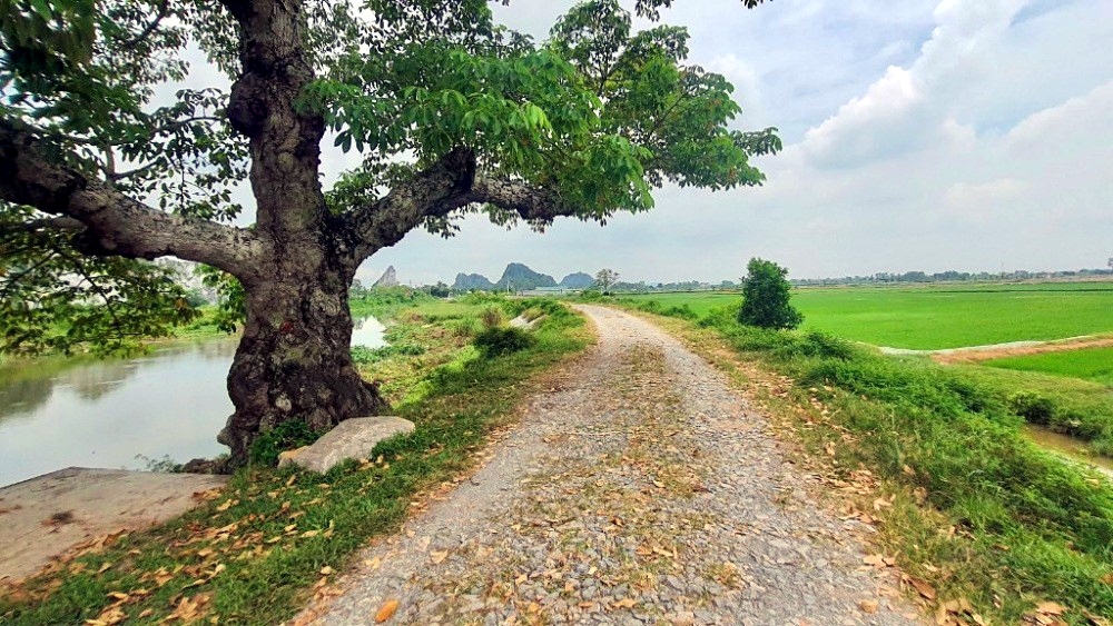 bai 37 du an duong cuu ho cuu nan cho nhan dan vung mua lu hon 10 nam van chua hoan thanh