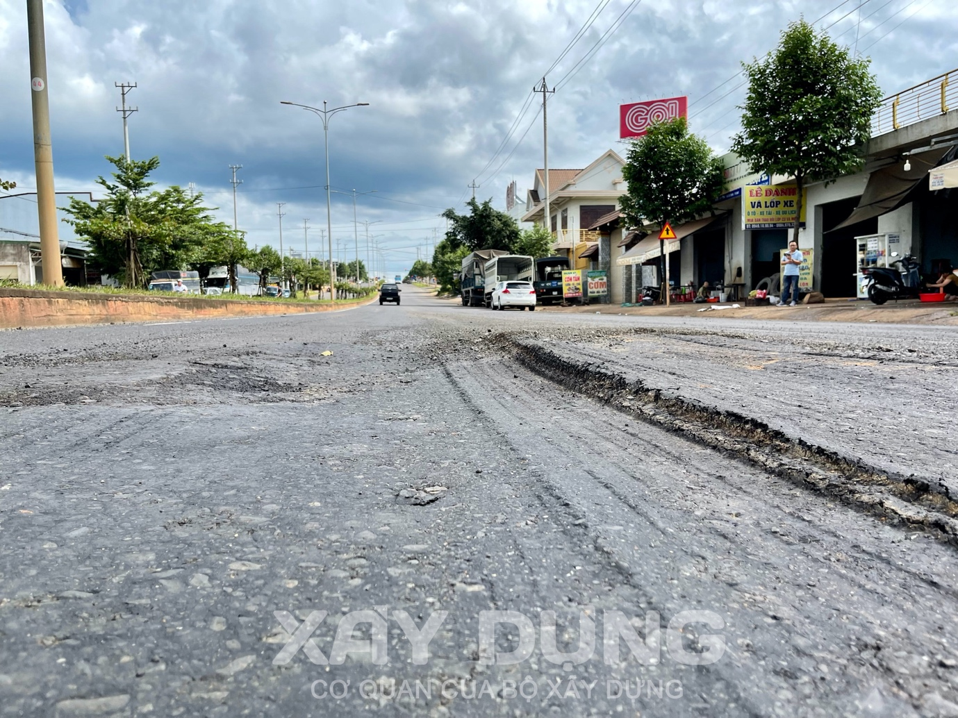 dak lak am anh voi ho ga o voi tren duong tranh tay thanh pho buon ma thuot