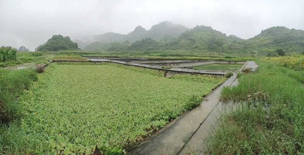 ha giang du an von oda cap thoat nuoc hang chuc ty dong bi bo hoang nhieu nam