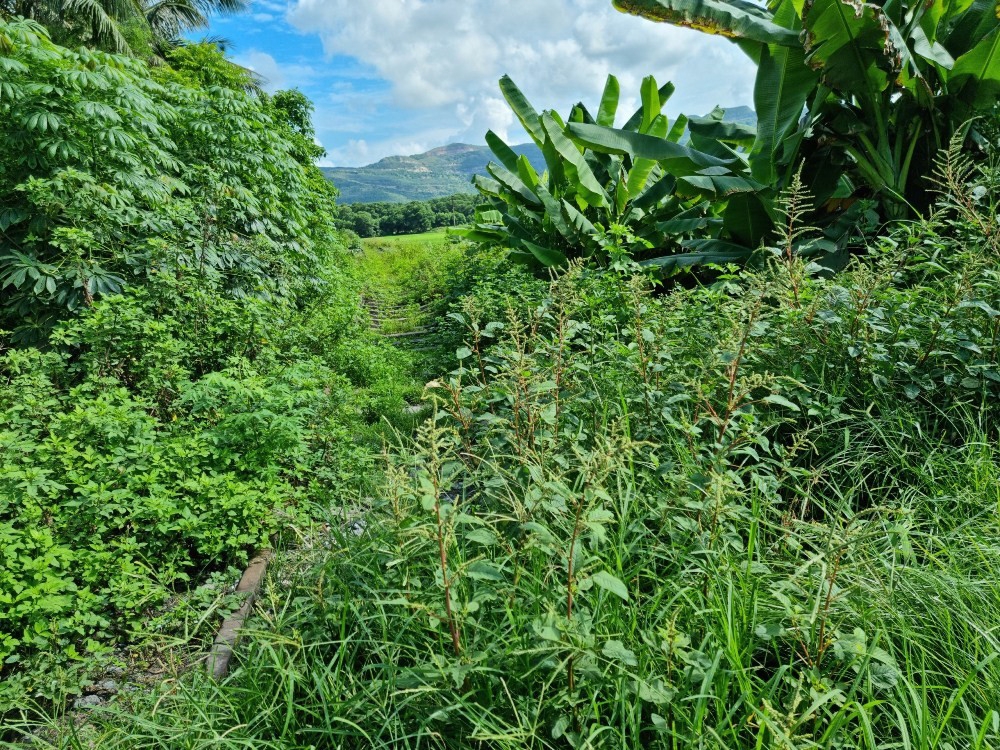 dong trieu quang ninh tuyen duong sat vo dung an ngu do thi