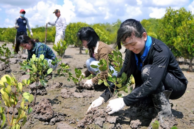 Đề án bảo vệ và phát triển rừng vùng ven biển ứng phó với biến đổi khí hậu giai đoạn 2021 – 2030