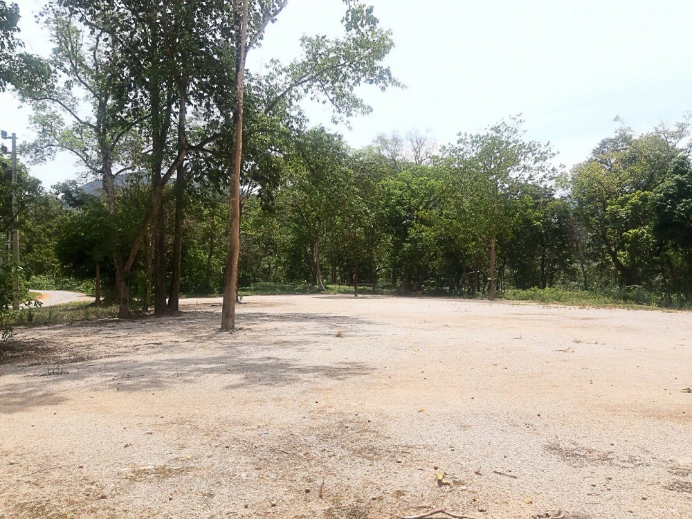 quang binh lan chiem hon 40000m2 dat rung phong ho xay cong vien sinh thai