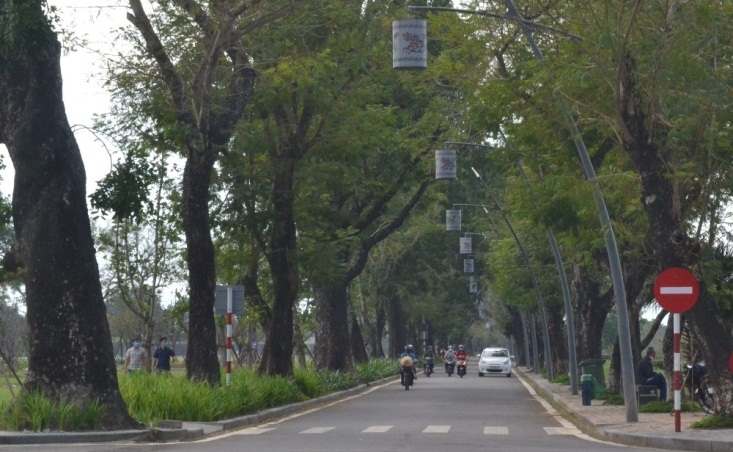 tam dung khai truong tuyen pho dem hoang thanh hue