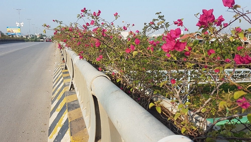 uong bi quang ninh do thi hoa no tren cao doc dao nhat viet nam