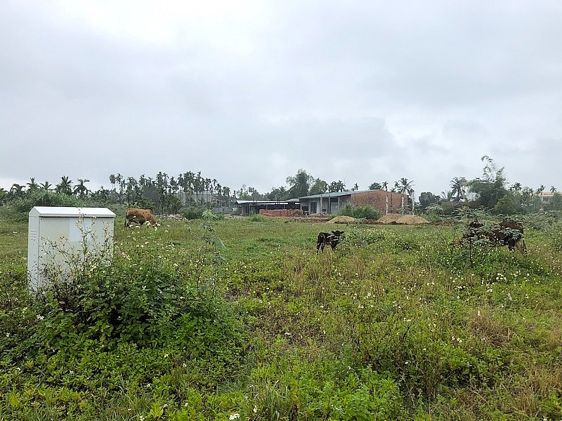 quang ngai yeu cau ra soat danh gia kha nang dau gia thanh cong doi voi 116 lo dat tai khu dan cu truc duong bau giang cau moi