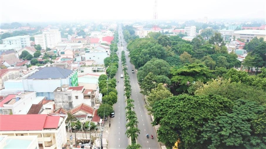 Tây Ninh mùa hoa sao