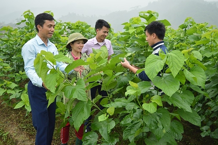 dang bo tinh yen bai mot nhiem ky voi nhieu thanh tuu noi bat