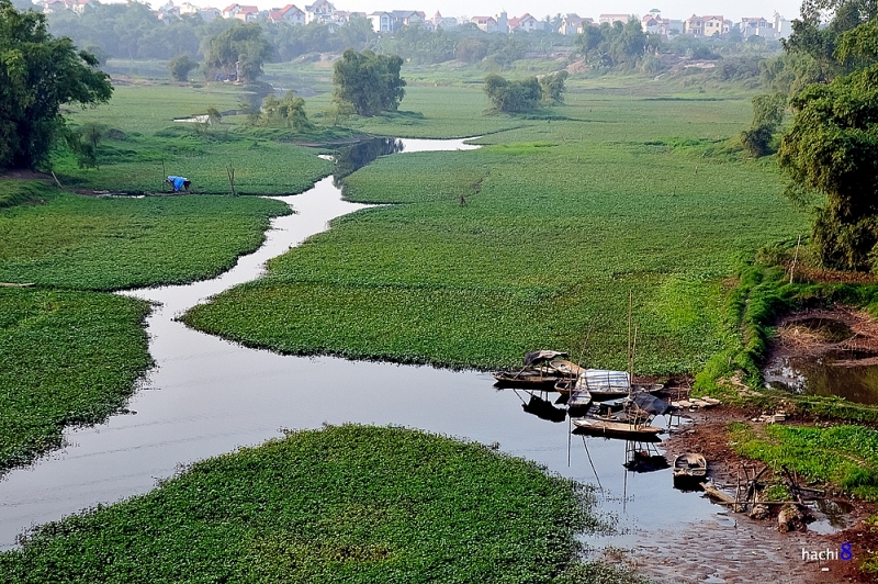 nhat can thi nhi can giang