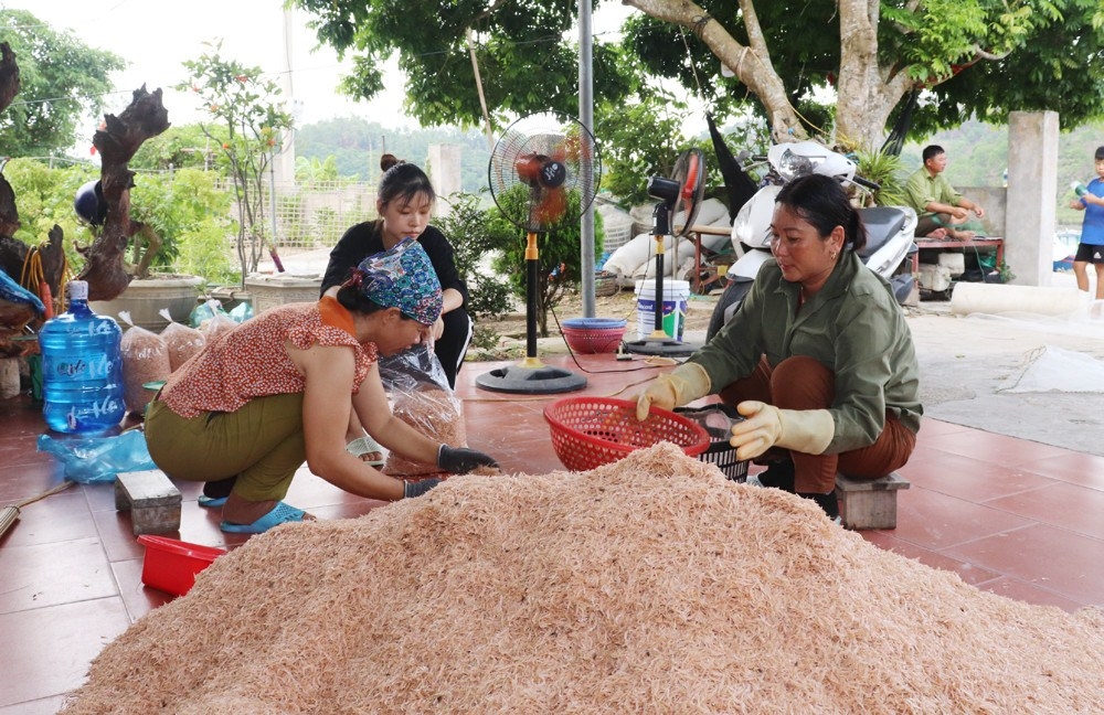 quang ninh dao ngoc vung dat nong thon moi nang cao