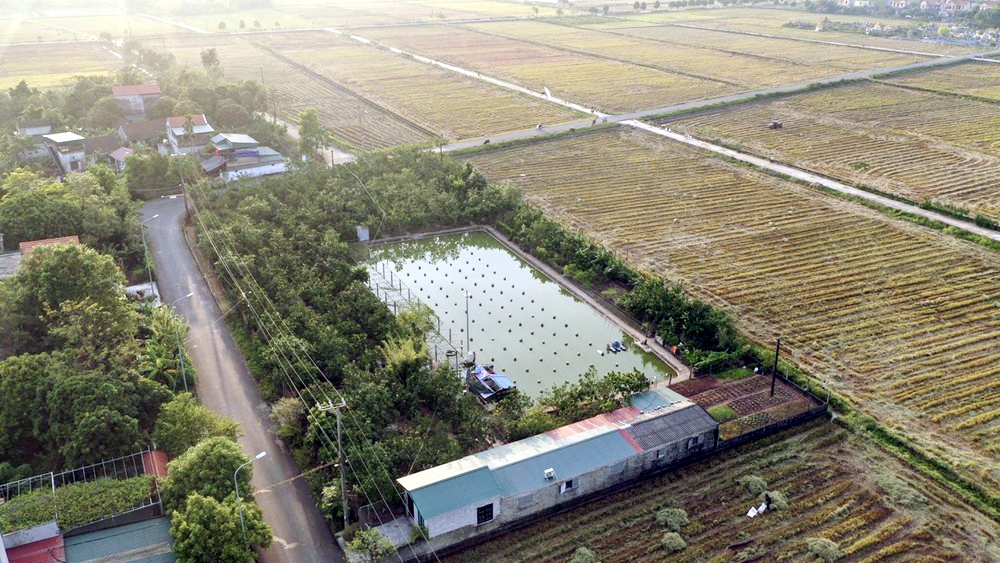 hoa lu ninh binh nguyen bi thu xa tu y chuyen doi hang nghin m2 dat lua va xay dung cong trinh trai phep