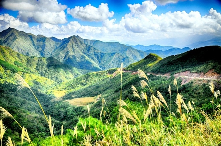 7 người tử vong ở biên giới Việt - Trung là tin bịa đặt