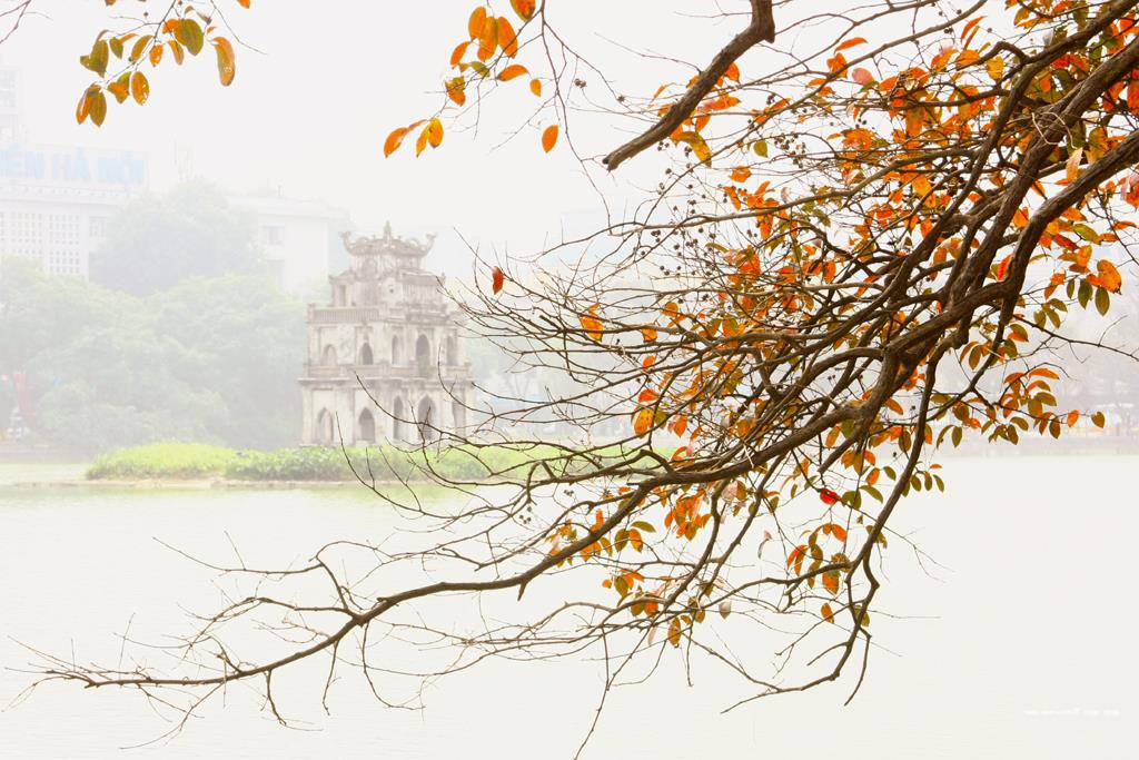 Sắc màu chớm đông