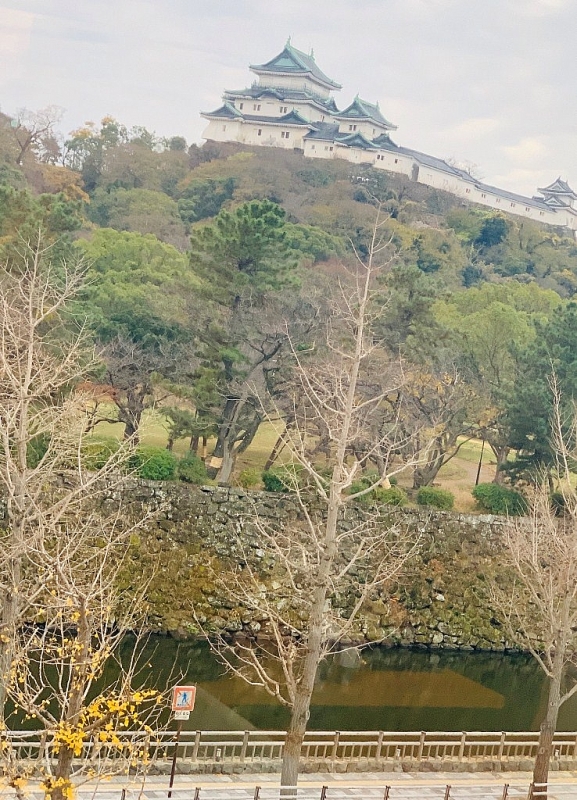 ve mien di san phu tang