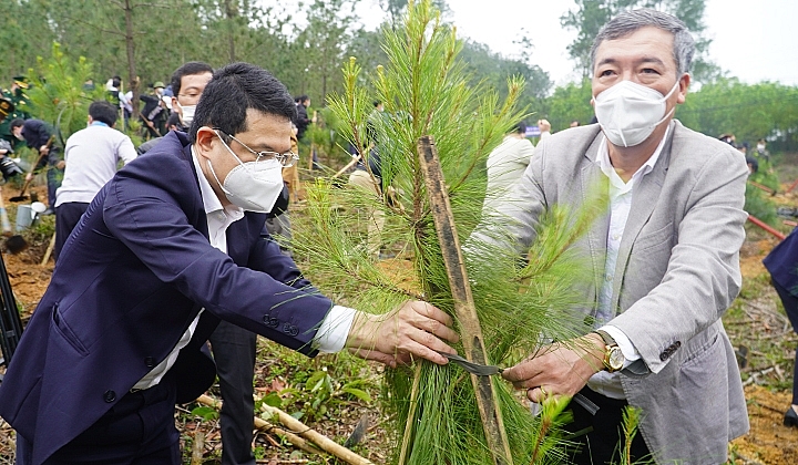 thua thien hue phat dong tet trong cay xuan nham dan 2022