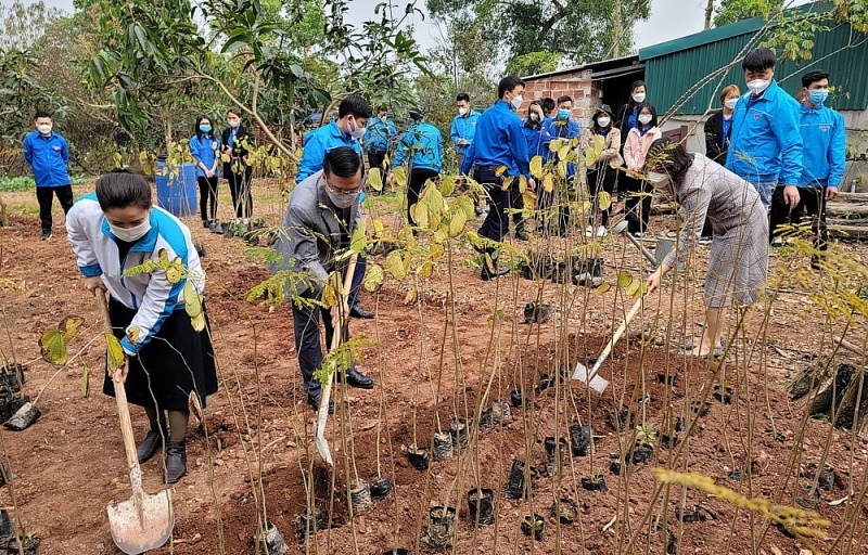 hai phong khoi dong thang thanh nien nam 2022