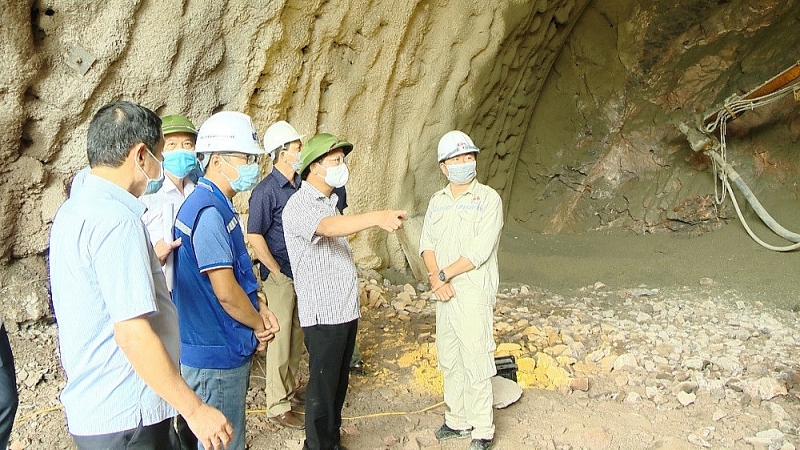 duong bao bien ha long cam pha phu xanh nui da voi khi cay rung bi hu hai do mo duong