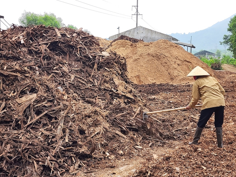 trieu son thanh hoa xuong san xuat vien nen than cui hoat dong trai phep tren dat rung