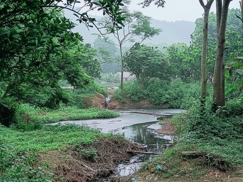 yen lap phu tho trai lon van hanh dan du da bi xu phat