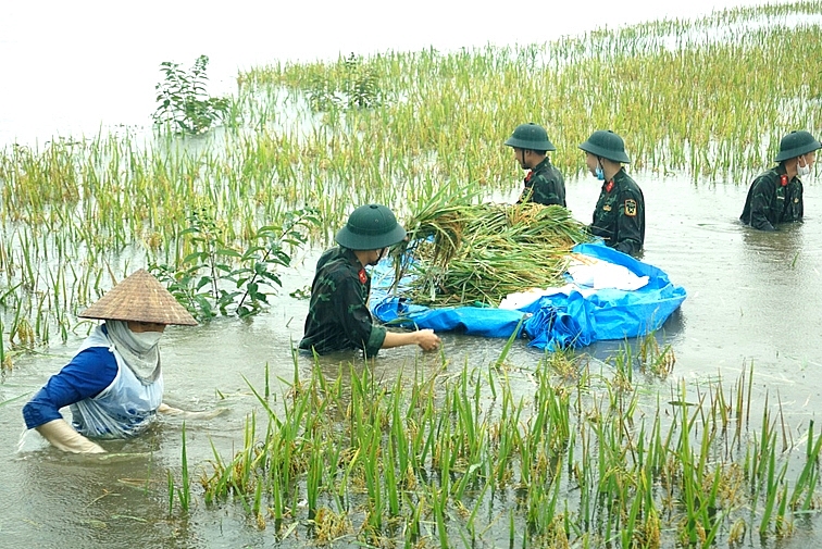 phu tho mua dong keo dai anh huong den cuoc song cua nguoi dan