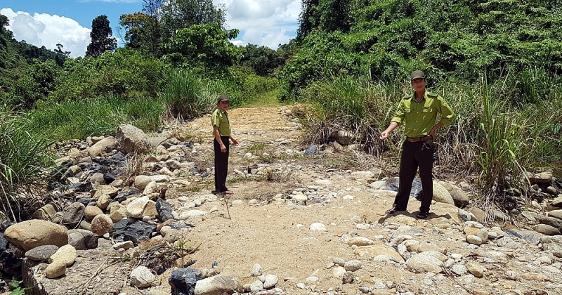 thua thien hue cao toc khoa duong tuan tra rung quoc gia bach ma