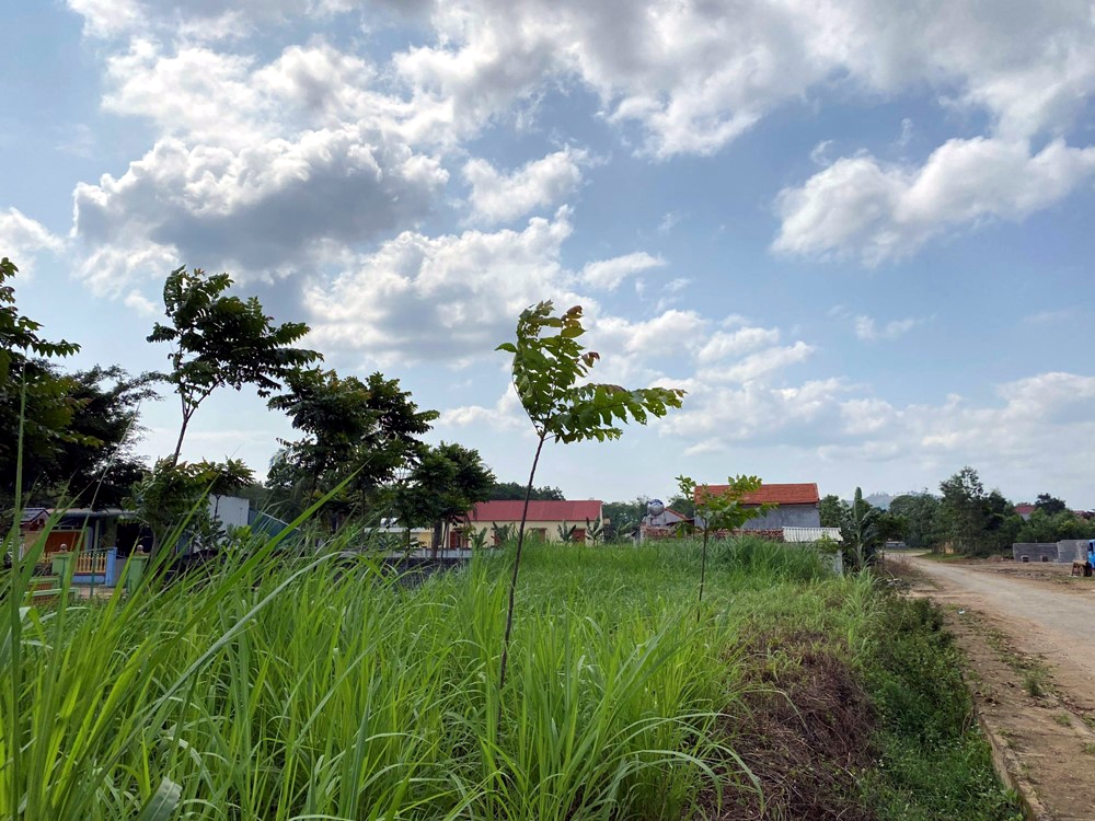 Thanh Hóa: Chỉ đạo xử lý thông tin Báo điện tử Xây dựng phản ánh