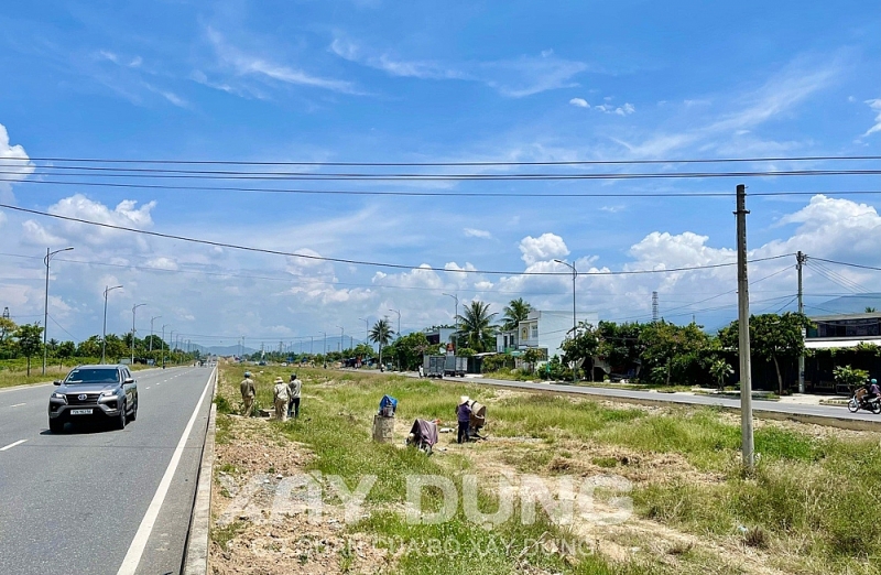 khanh hoa du an san lap va trong cay xanh duong vo nguyen giap got chan cho vua giay