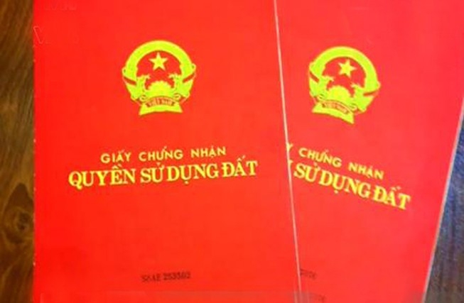 Quỹ đầu tư phát triển có được nhận quyền sử dụng đất của tổ chức kinh tế không?