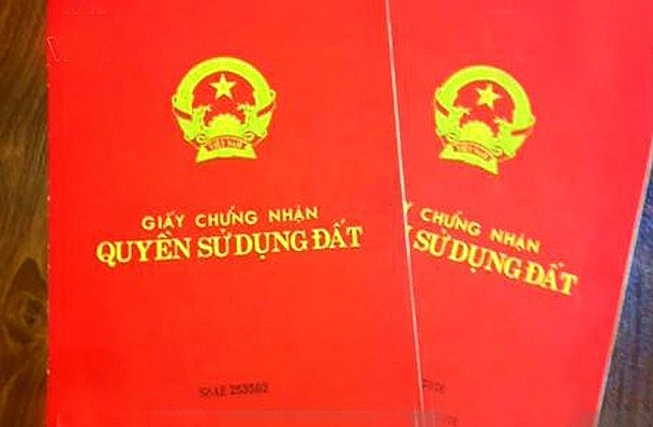 quy dau tu phat trien co duoc nhan quyen su dung dat cua to chuc kinh te khong