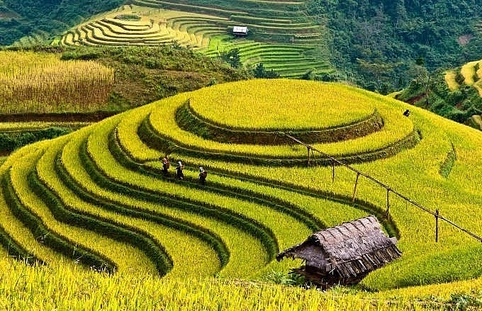 yen bai quyet dinh quy hoach xay dung huyen mu cang chai