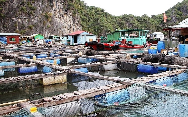 hai phong ho tro thao do co so nuoi trong thuy san tren cac vinh thuoc quan dao cat ba