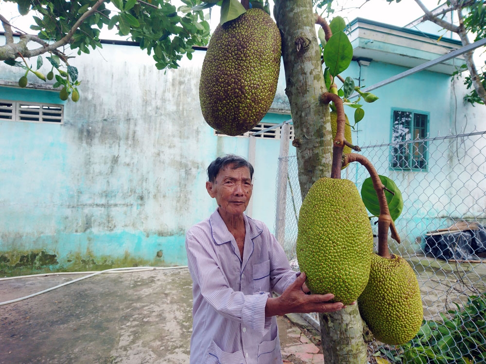 Làm gì để nhà vườn không còn lênh đênh bơi theo “sóng nước” giá trái cây?