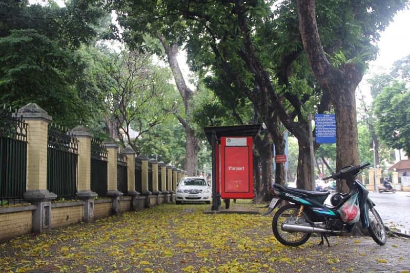 ha noi mua la rot tren vai