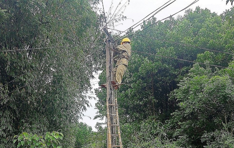 thanh hoa cong ty dien luc chu dong ung pho khac phuc anh huong hoan luu bao so 6