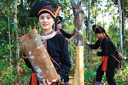 yen bai mua thu mua le hoi da den la khong muon ve