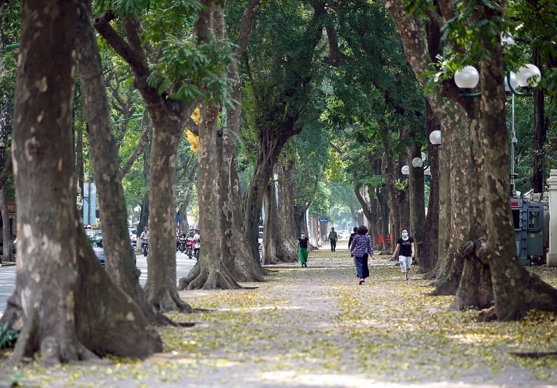 ha noi cua nhung giac mo