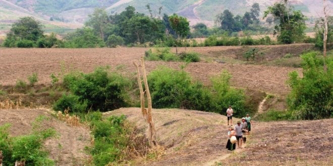 Đất khai hoang có nhà ở ghi nguồn gốc sử dụng thế nào?