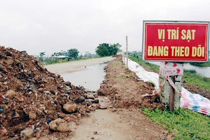 Thanh Hóa: Công bố tình huống khẩn cấp sự cố sụt lún hơn 1km đê sông Mã đoạn từ K49+950-K50+950