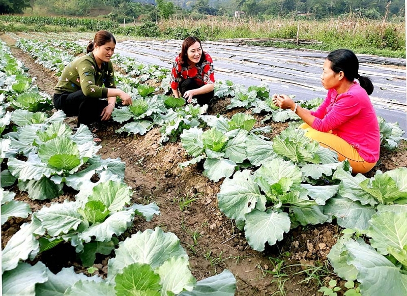 vinh phuc phu nu tam duong chung suc xay dung nong thon moi