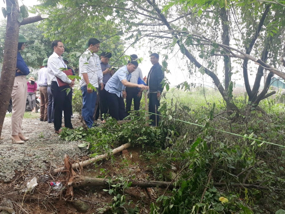 Tam Dương (Vĩnh Phúc): Cưỡng chế kiểm đếm bắt buộc để thực hiện một số dự án trên địa bàn huyện