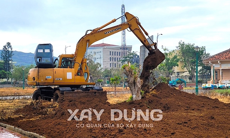 Huyện đảo Lý Sơn lại chi chục tỷ trồng cây xanh, cải tạo Quảng trường