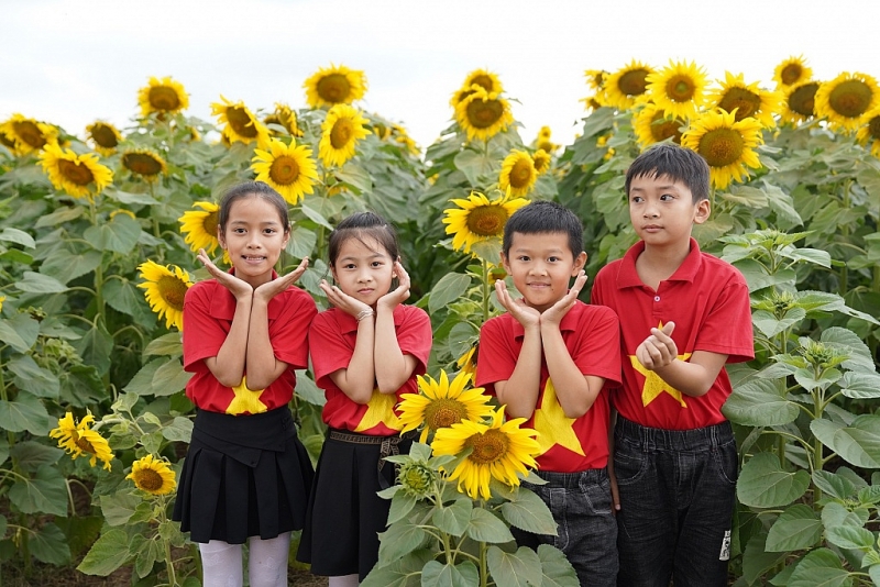 nghe an khai mac le hoi hoa huong duong 2019